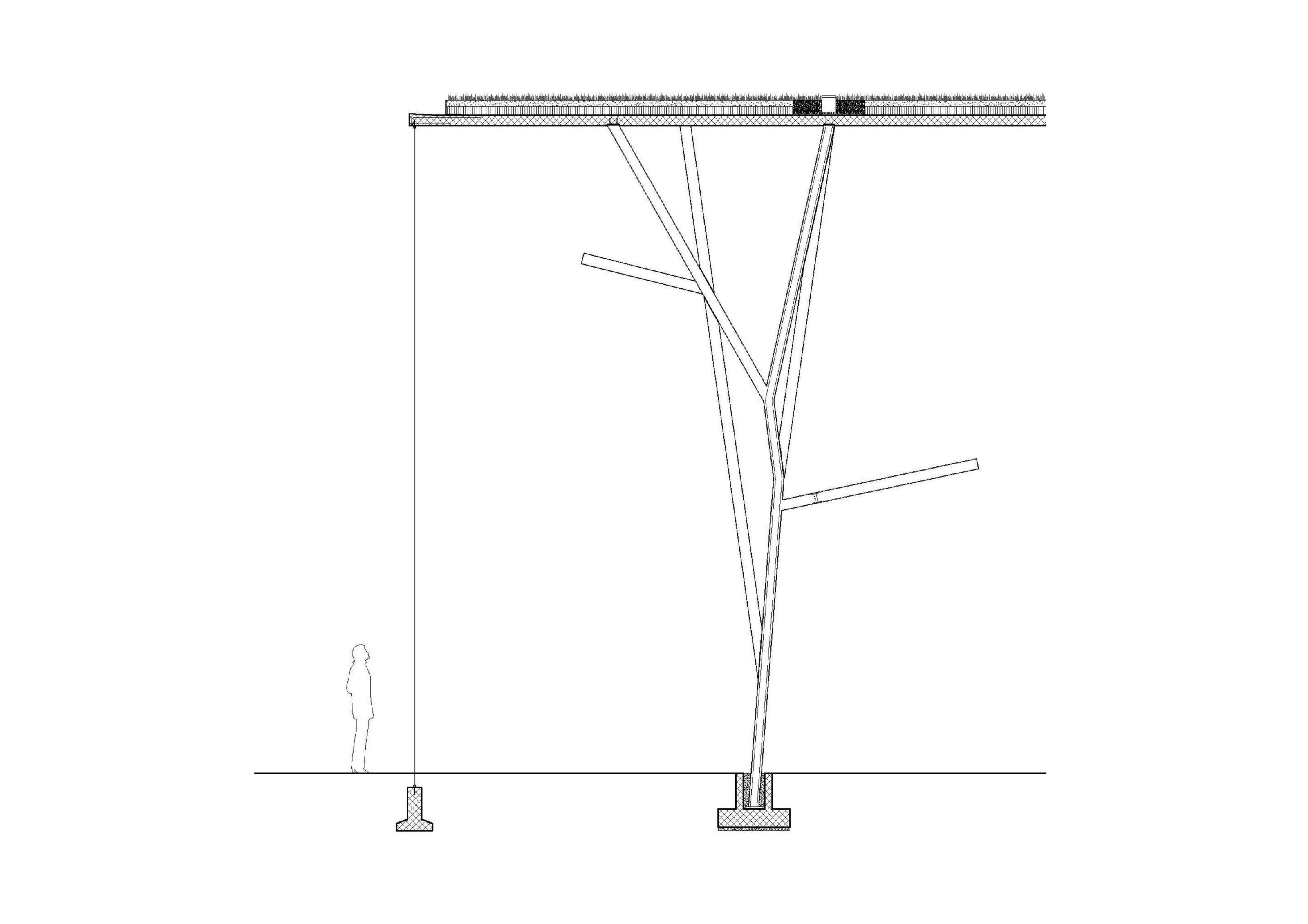 mco_gen_plan_4.jpg