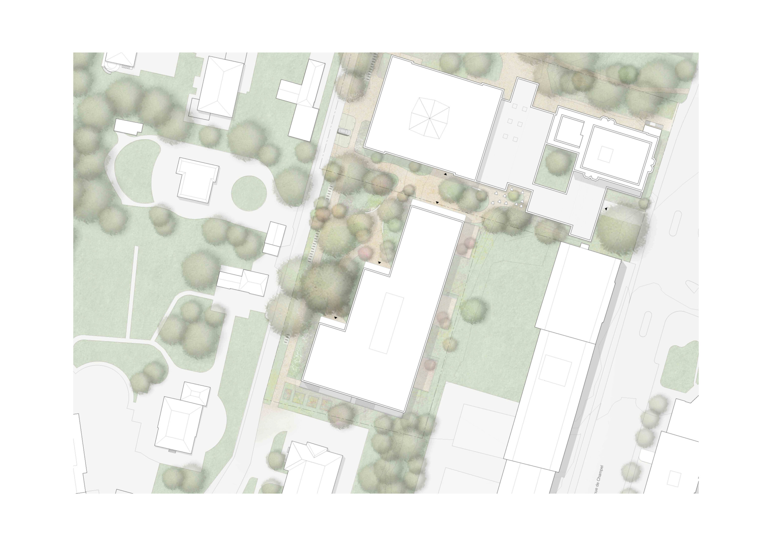 mco_heds_plan_2.jpg