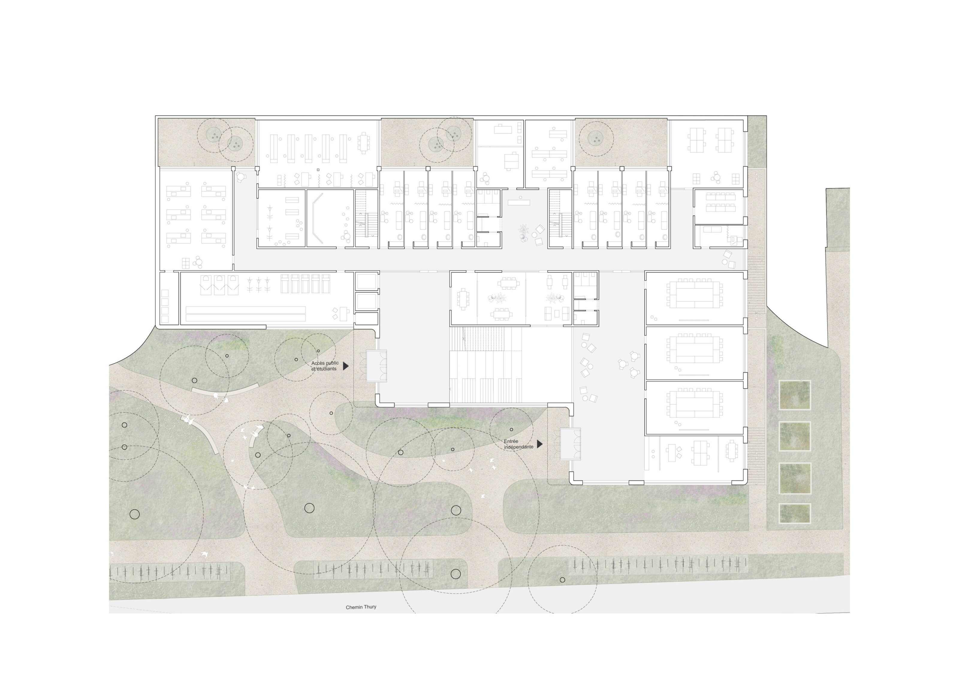 mco_heds_plan_3.jpg