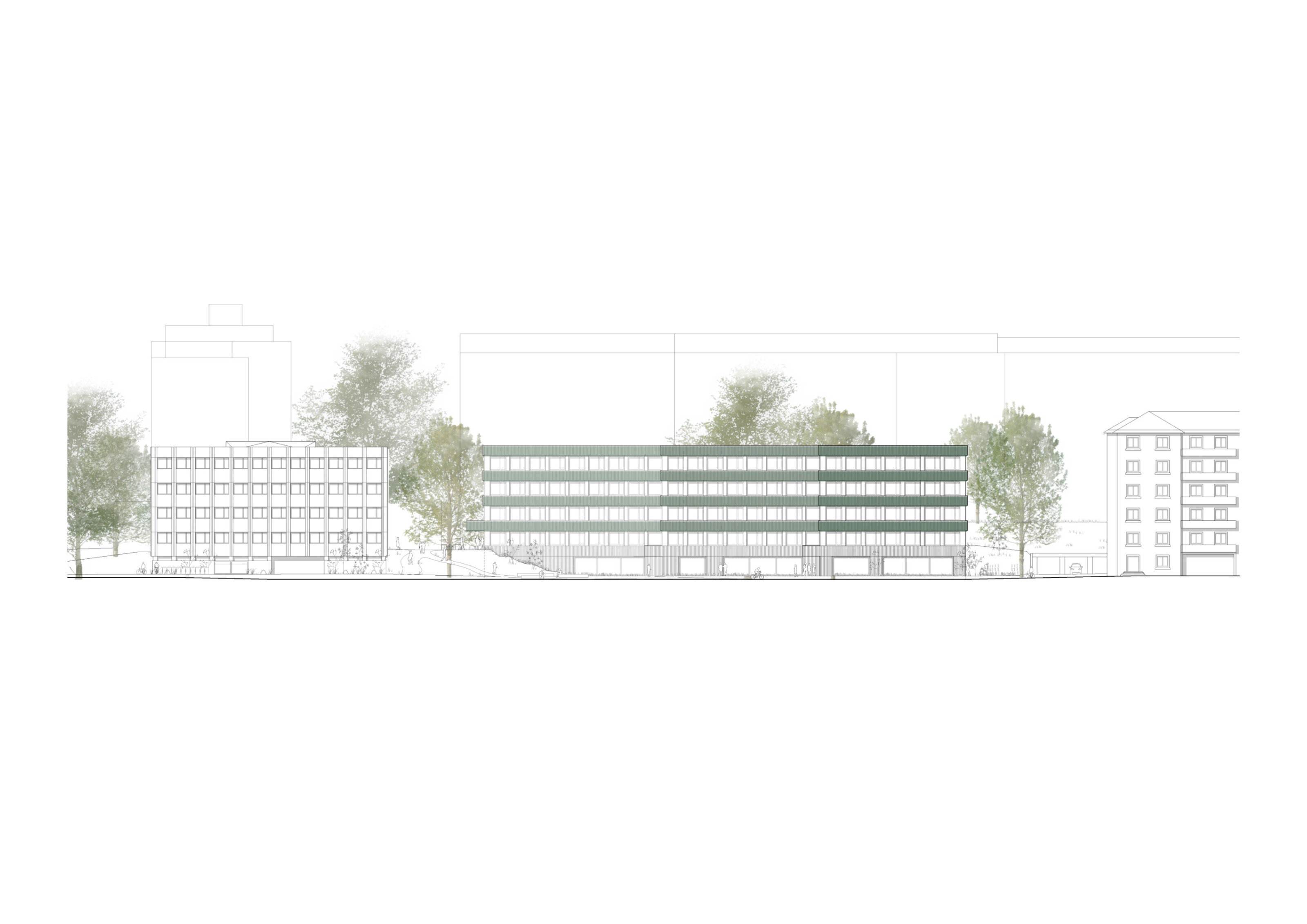 mco_heds_plan_7.jpg