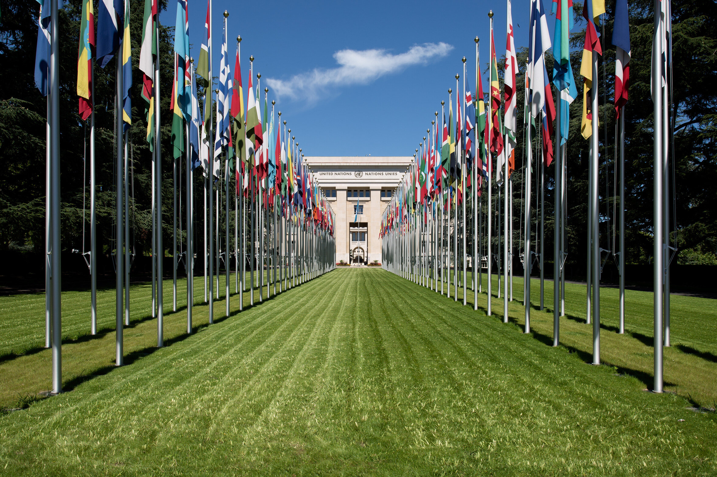 onu-6.jpg